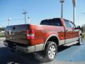  2006 Ford F150 Dark Copper Metallic #5