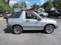  2003 Chevrolet Tracker Silverleaf Metallic #3