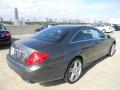 2012 CL 63 AMG #5