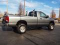  2006 Dodge Ram 2500 Mineral Gray Metallic #3