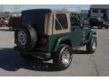 2001 Wrangler Sahara 4x4 #3