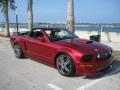 2007 Mustang GT/CS California Special Convertible #7