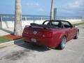 2007 Mustang GT/CS California Special Convertible #13