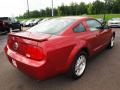 2007 Mustang V6 Deluxe Coupe #3