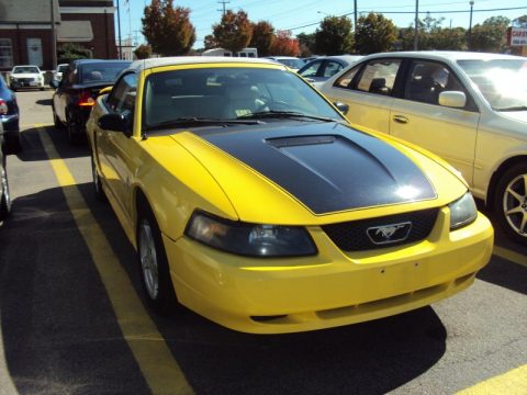 Zinc Yellow Ford Mustang V6 Convertible.  Click to enlarge.