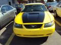 2002 Mustang V6 Convertible #3