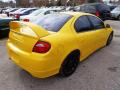 2003 Dodge Neon Solar Yellow #5 2003 Dodge Neon Solar Yellow #5