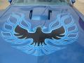  1978 Pontiac Firebird Logo #2