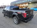 2012 F150 FX4 SuperCrew 4x4 #2