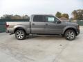  2012 Ford F150 Sterling Gray Metallic #2