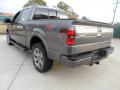  2012 Ford F150 Sterling Gray Metallic #5