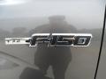  2012 Ford F150 Logo #13