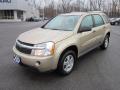 2007 Equinox LS AWD #3 2007 Equinox LS AWD #3