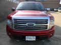 2011 F150 Platinum SuperCrew 4x4 #2