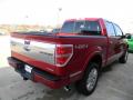 2011 F150 Platinum SuperCrew 4x4 #3