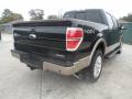 2012 Ford F150 Tuxedo Black Metallic #3 2012 Ford F150 Tuxedo Black Metallic #3