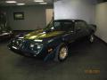 1979 Firebird Trans Am #2