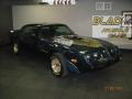 1979 Firebird Trans Am #12