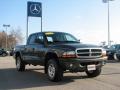 2004 Dakota SLT Quad Cab 4x4 #3