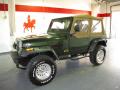 1995 Wrangler Rio Grande 4x4 #1 1995 Wrangler Rio Grande 4x4 #1