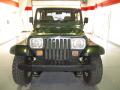1995 Wrangler Rio Grande 4x4 #6 1995 Wrangler Rio Grande 4x4 #6