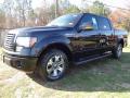 2012 F150 FX2 SuperCrew #3