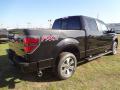  2012 Ford F150 Tuxedo Black Metallic #7