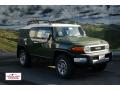 2012 FJ Cruiser 4WD #1