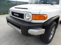 2012 FJ Cruiser 4WD #10