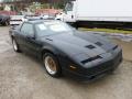 Front 3/4 View of 1987 Pontiac Firebird GTA Trans Am #7