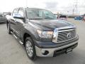 2012 Tundra Platinum CrewMax #3