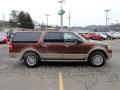 2011 Ford Expedition Golden Bronze Metallic #4 2011 Ford Expedition Golden Bronze Metallic #4