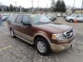 2011 Expedition EL XLT 4x4 #5 2011 Expedition EL XLT 4x4 #5