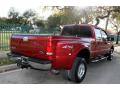 2001 F350 Super Duty Lariat Crew Cab 4x4 Dually #8