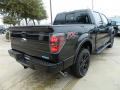 2012 Ford F150 Tuxedo Black Metallic #5 2012 Ford F150 Tuxedo Black Metallic #5