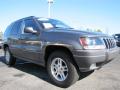 2003 Grand Cherokee Laredo #4