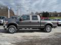  2012 Ford F250 Super Duty Sterling Grey Metallic #5