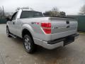  2012 Ford F150 Ingot Silver Metallic #5