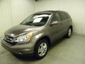 2010 CR-V EX-L AWD #3