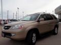 2001 MDX Touring #31 2001 MDX Touring #31