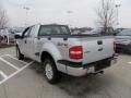  2009 Ford F150 Brilliant Silver Metallic #8
