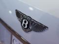  2009 Bentley Brooklands Logo #30