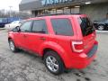 2009 Escape XLT 4WD #2