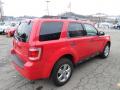2009 Escape XLT 4WD #4