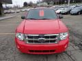 2009 Escape XLT 4WD #7