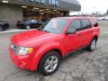 2009 Escape XLT 4WD #8
