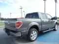 2012 Ford F150 Sterling Gray Metallic #3 2012 Ford F150 Sterling Gray Metallic #3