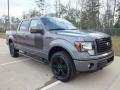 Front 3/4 View of 2012 Ford F150 FX4 SuperCrew 4x4 #1