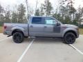  2012 Ford F150 Sterling Gray Metallic #2