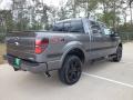  2012 Ford F150 Sterling Gray Metallic #5